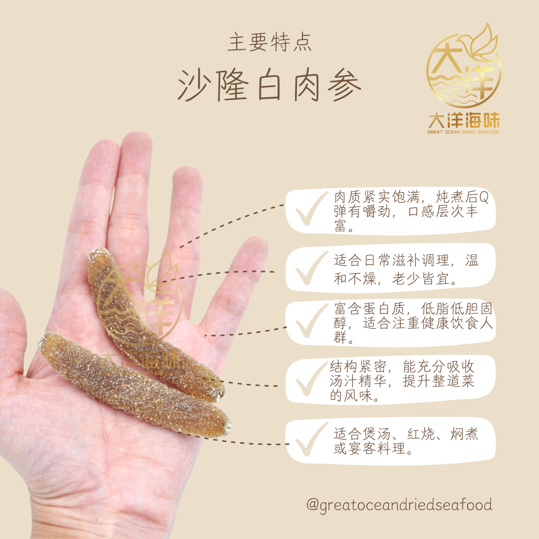 沙隆白肉参 玻璃参 Sri Lanka Disco Sea Cucumber