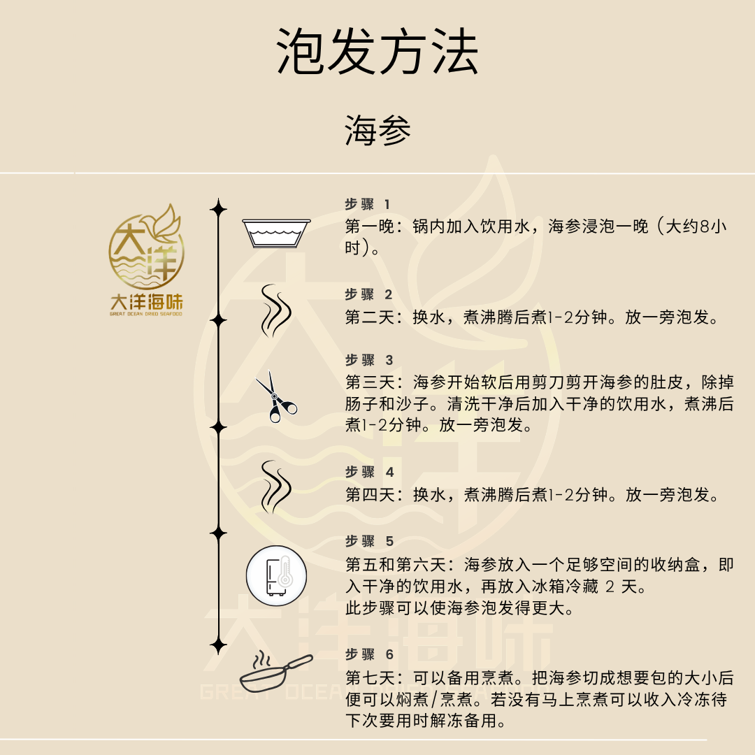 沙隆白肉参 玻璃参 Sri Lanka Disco Sea Cucumber