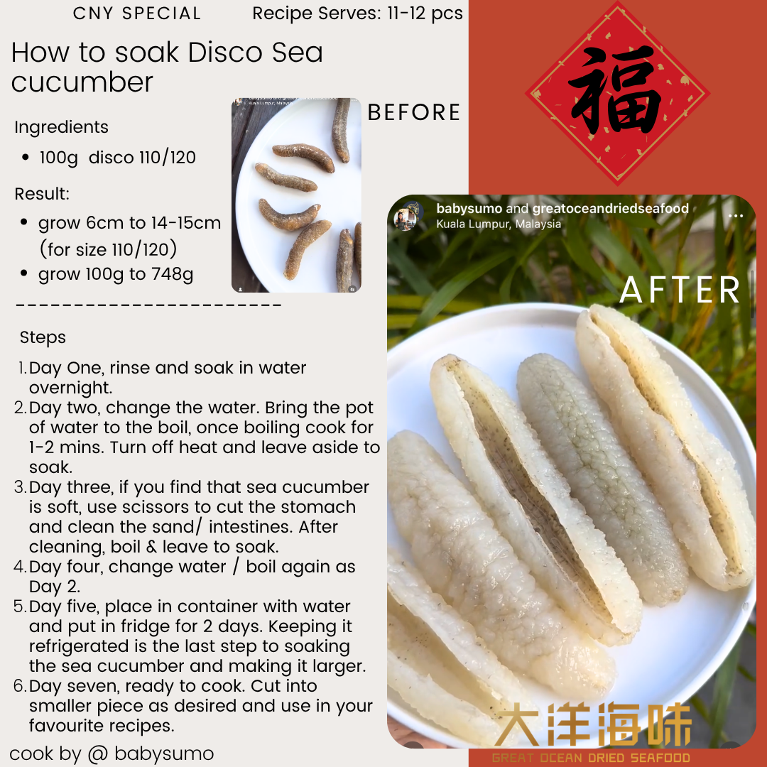 沙隆白肉参 玻璃参 Sri Lanka Disco Sea Cucumber