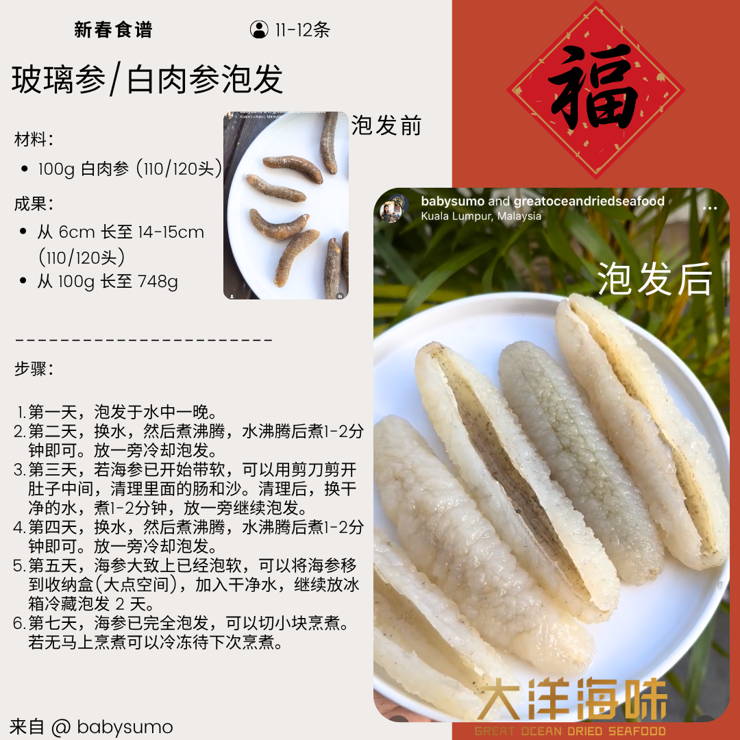 沙隆白肉参 玻璃参 Sri Lanka Disco Sea Cucumber