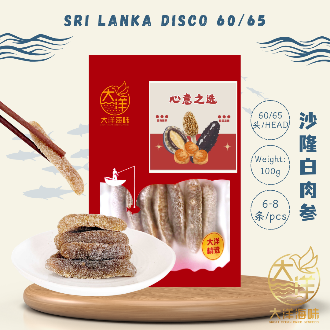 沙隆白肉参 玻璃参 Sri Lanka Disco Sea Cucumber