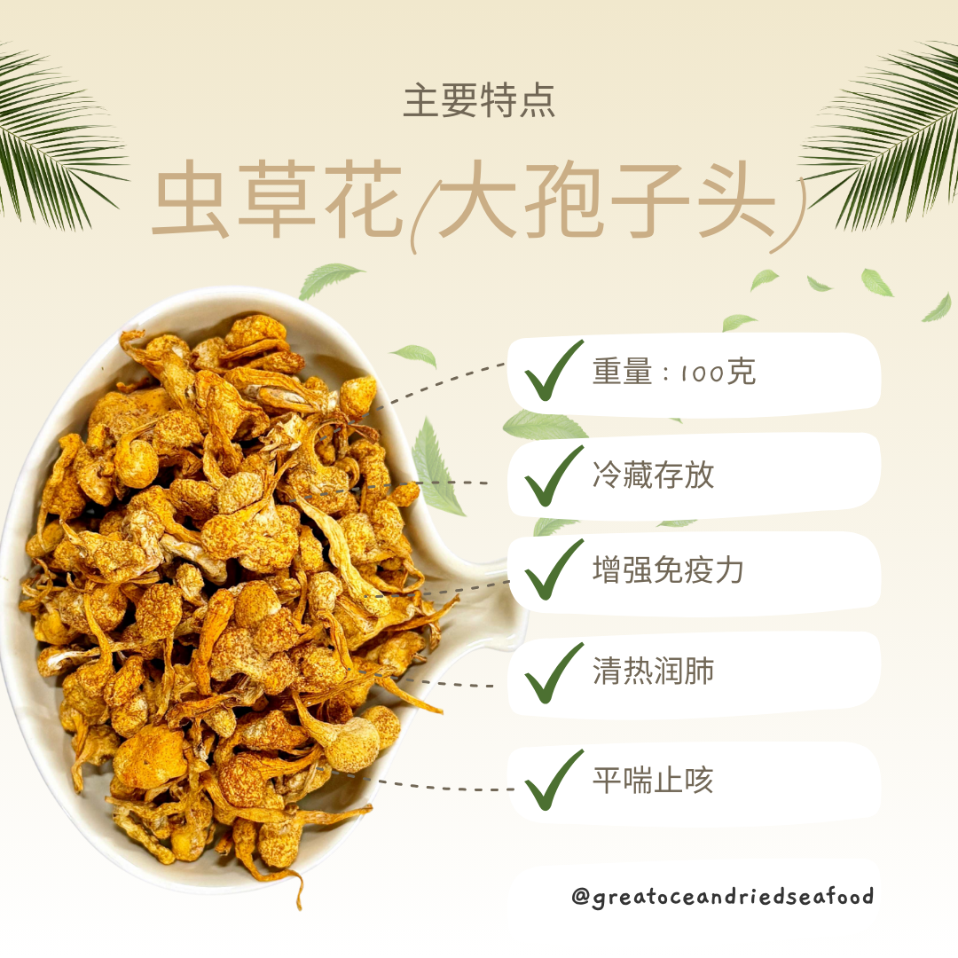 [100g] Great Mountain Cordyceps Flower (Big) | 虫草花大孢子头