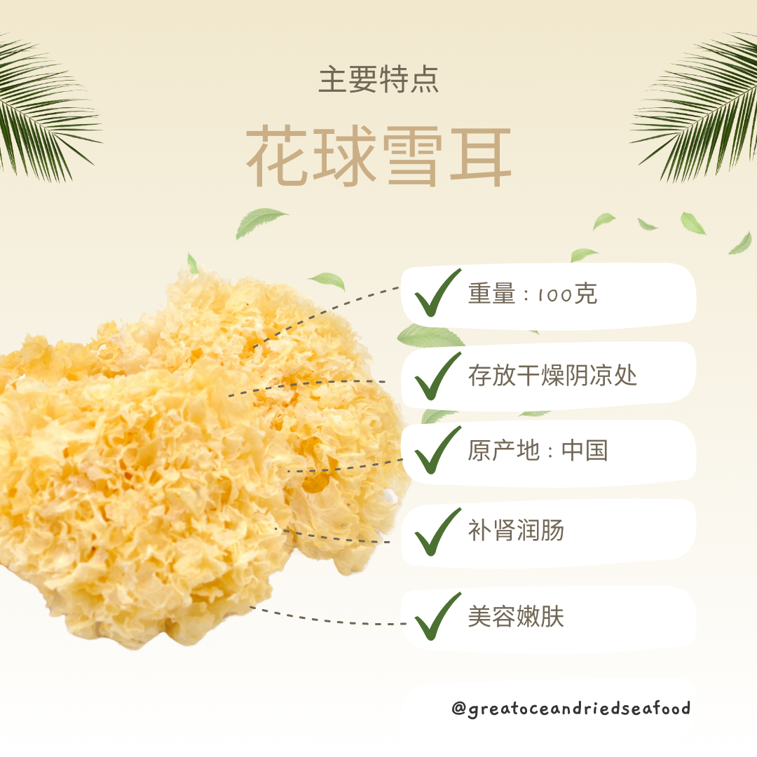 [100g] Great Ocean White Fungus | 无硫磺 白木耳 ｜ 雪耳