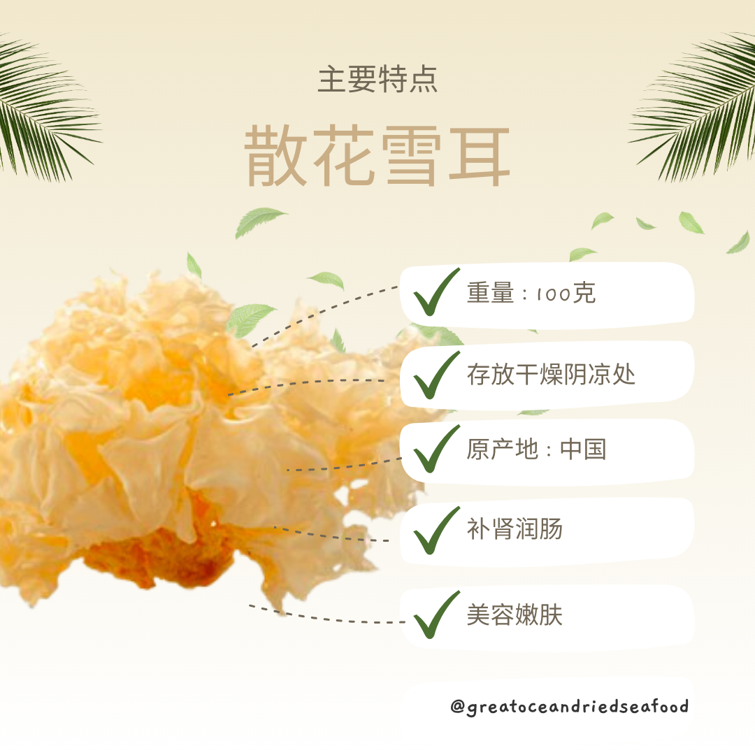 [100g] Great Ocean White Fungus | 无硫磺 白木耳 ｜ 雪耳