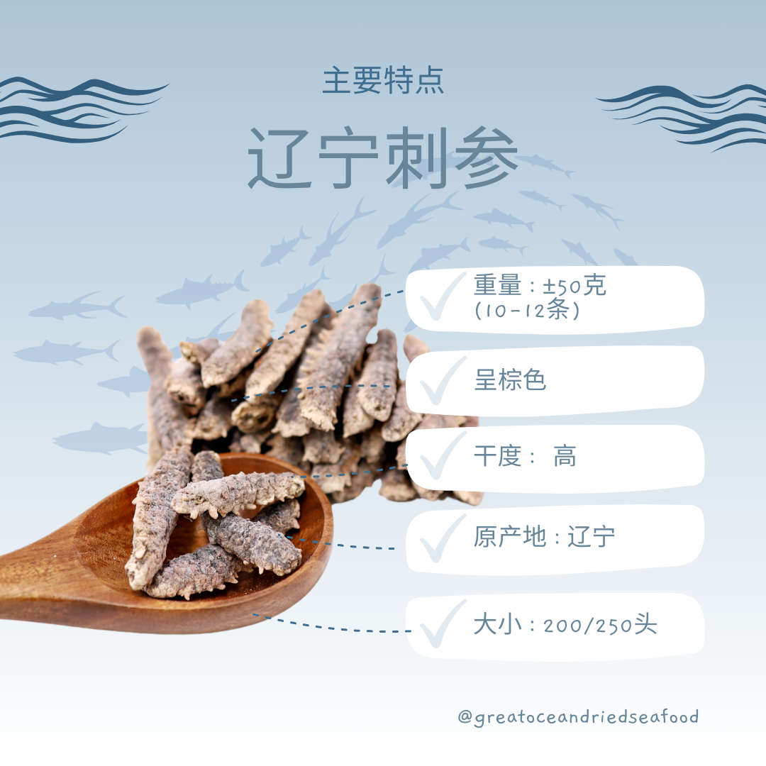 [50g] Great Ocean Liao Ning Sea Cucumber | 精选 辽宁刺参 | 辽参 (200/250H)