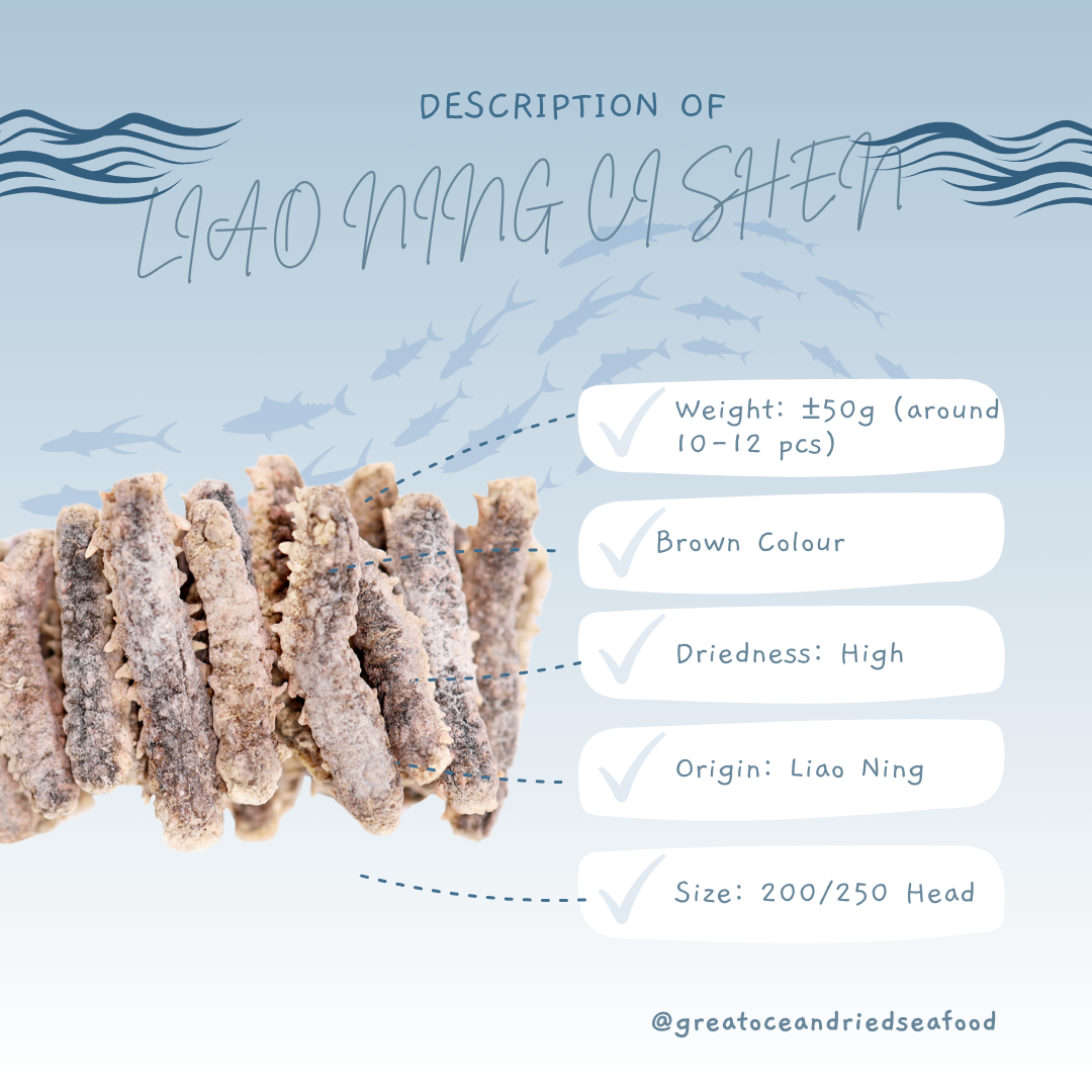 [50g] Great Ocean Liao Ning Sea Cucumber | 精选 辽宁刺参 | 辽参 (200/250H)