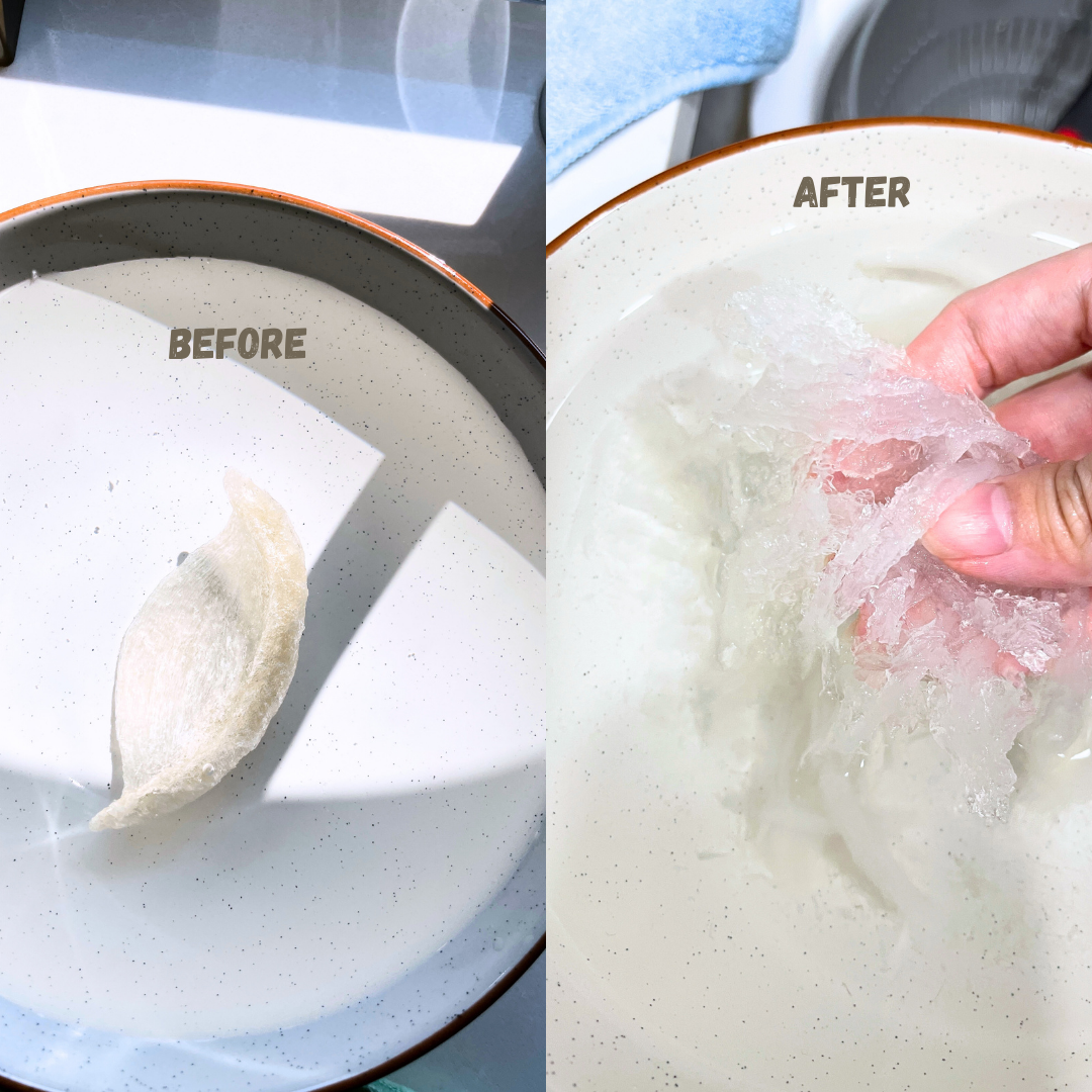 [1 piece] Great Ocean Premium Bird Nest (Export Quality) | 上等燕盏 燕窝