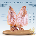 [12inch-500g] Great Ocean Dried Loligo | Sotong Kering | Dried Cuttlefish | 丁加奴吊片