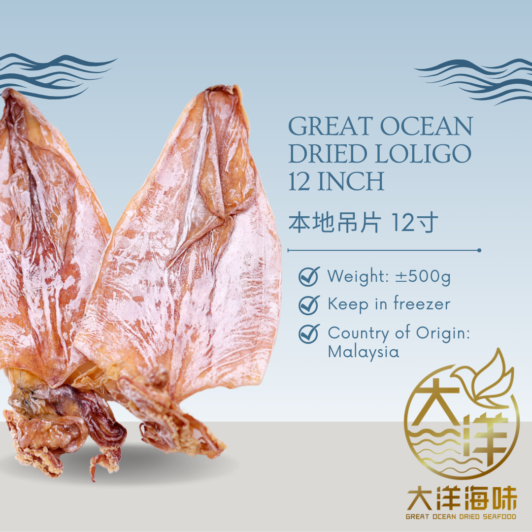 [12inch-500g] Great Ocean Dried Loligo | Sotong Kering | Dried Cuttlefish | 丁加奴吊片
