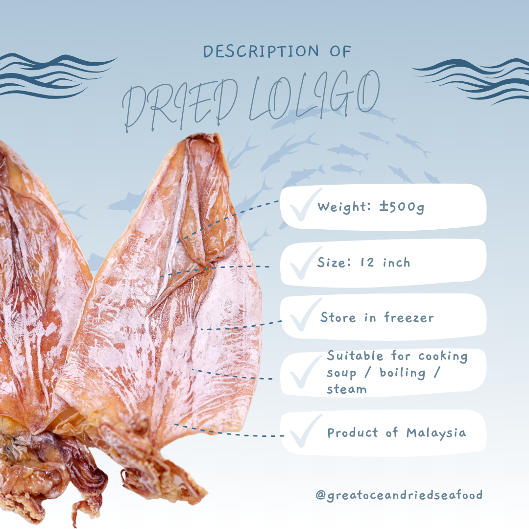 [12inch-500g] Great Ocean Dried Loligo | Sotong Kering | Dried Cuttlefish | 丁加奴吊片