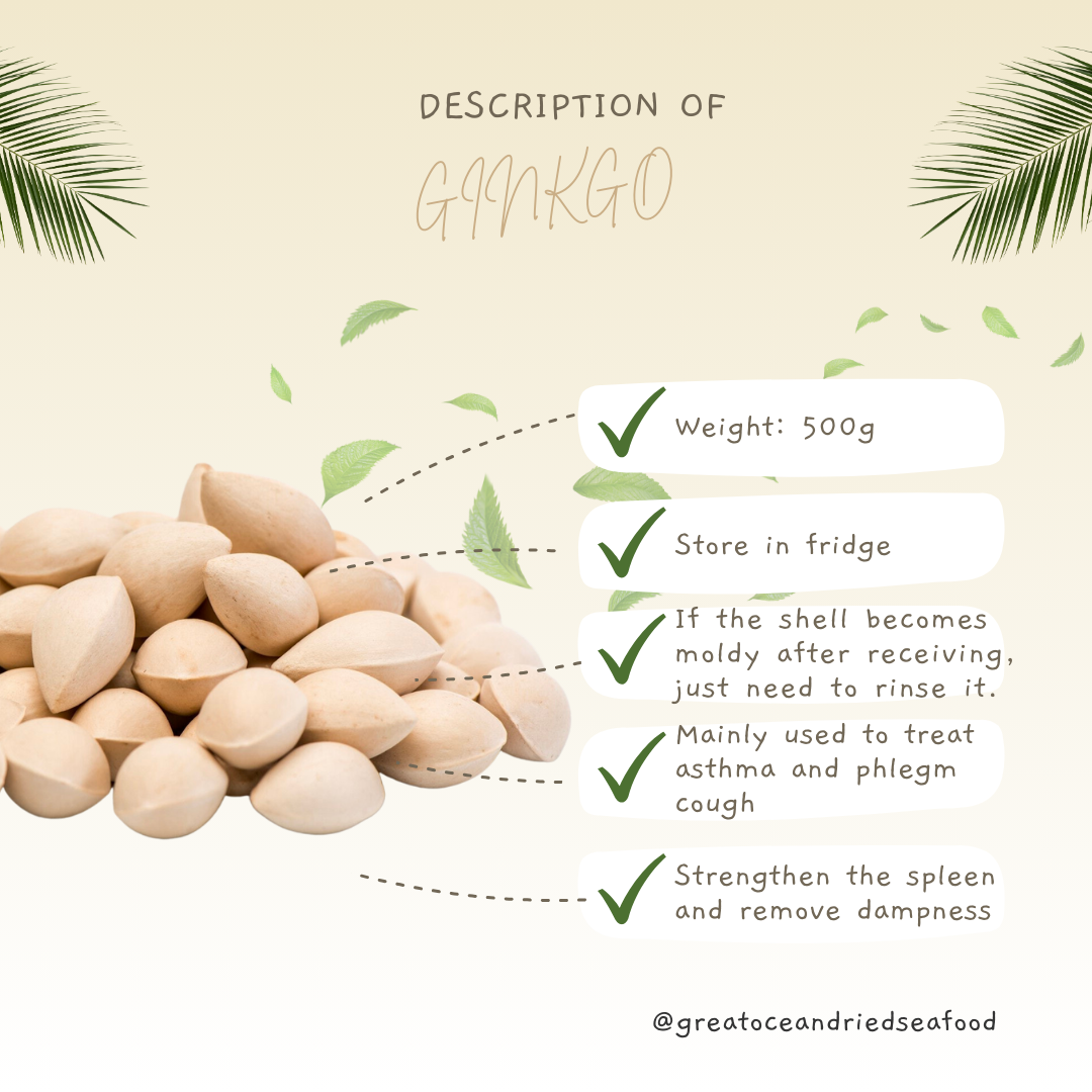 [500G] Great Mountain Herbs Ginkgo | 白果 | 银杏果