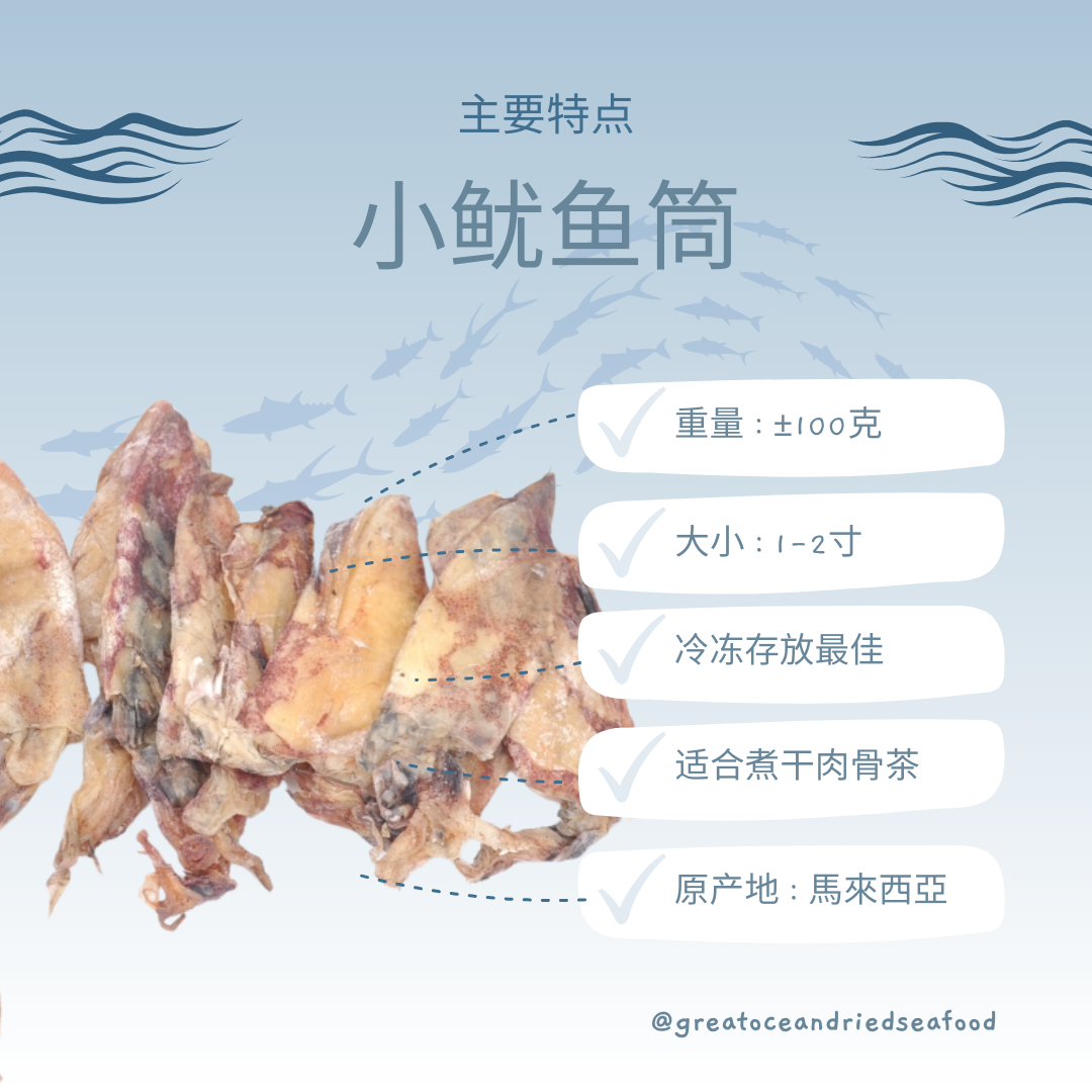 [100g] Great Ocean Sotong Baby | Squid Baby | 小鱿鱼筒 | Sotong Kering