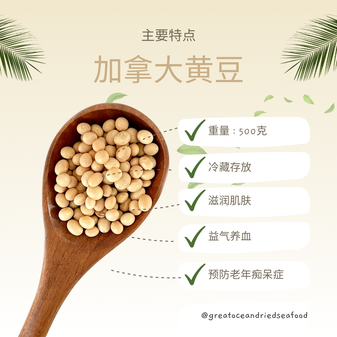 [500G] Great Mountain Canadian Soybean | 加拿大黄豆