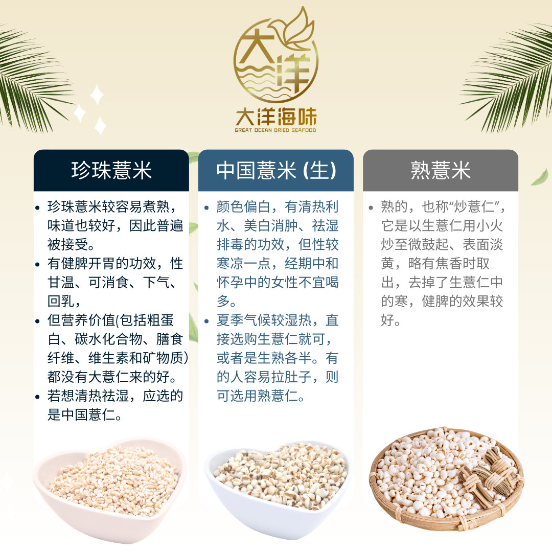 [500g] Great Mountain Holland Pearl Barley | 洋薏米 | 珍珠薏米 | 荷兰薏米