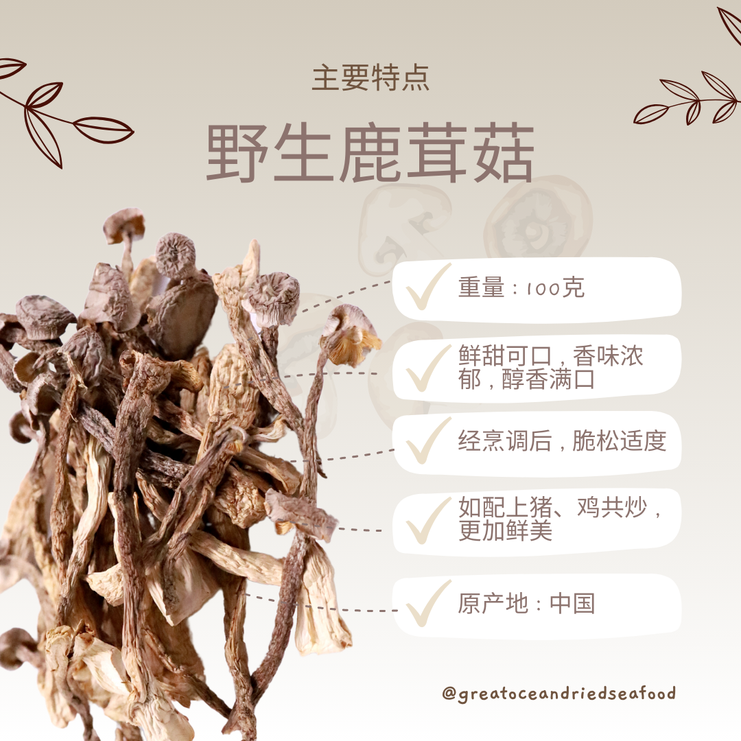 [100g] Great Ocean Dried Velvet Mushroom | 野生 鹿茸菇