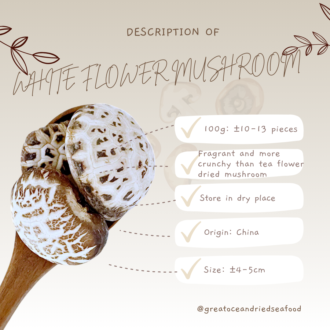 [100g] Great Ocean White Flower Dried Mushroom | 精选 天白花菇