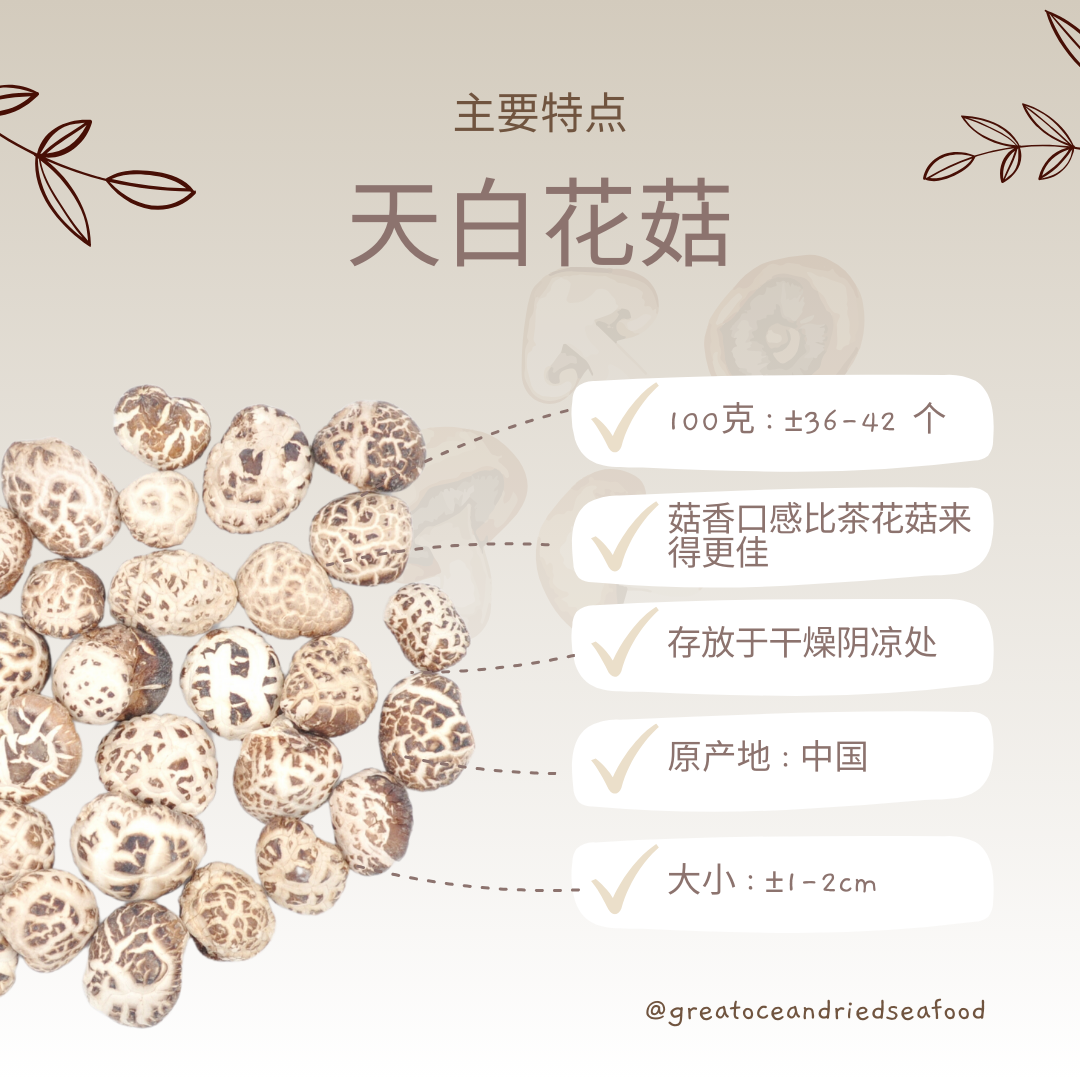 [100g] Great Ocean White Flower Dried Mushroom | 精选 天白花菇