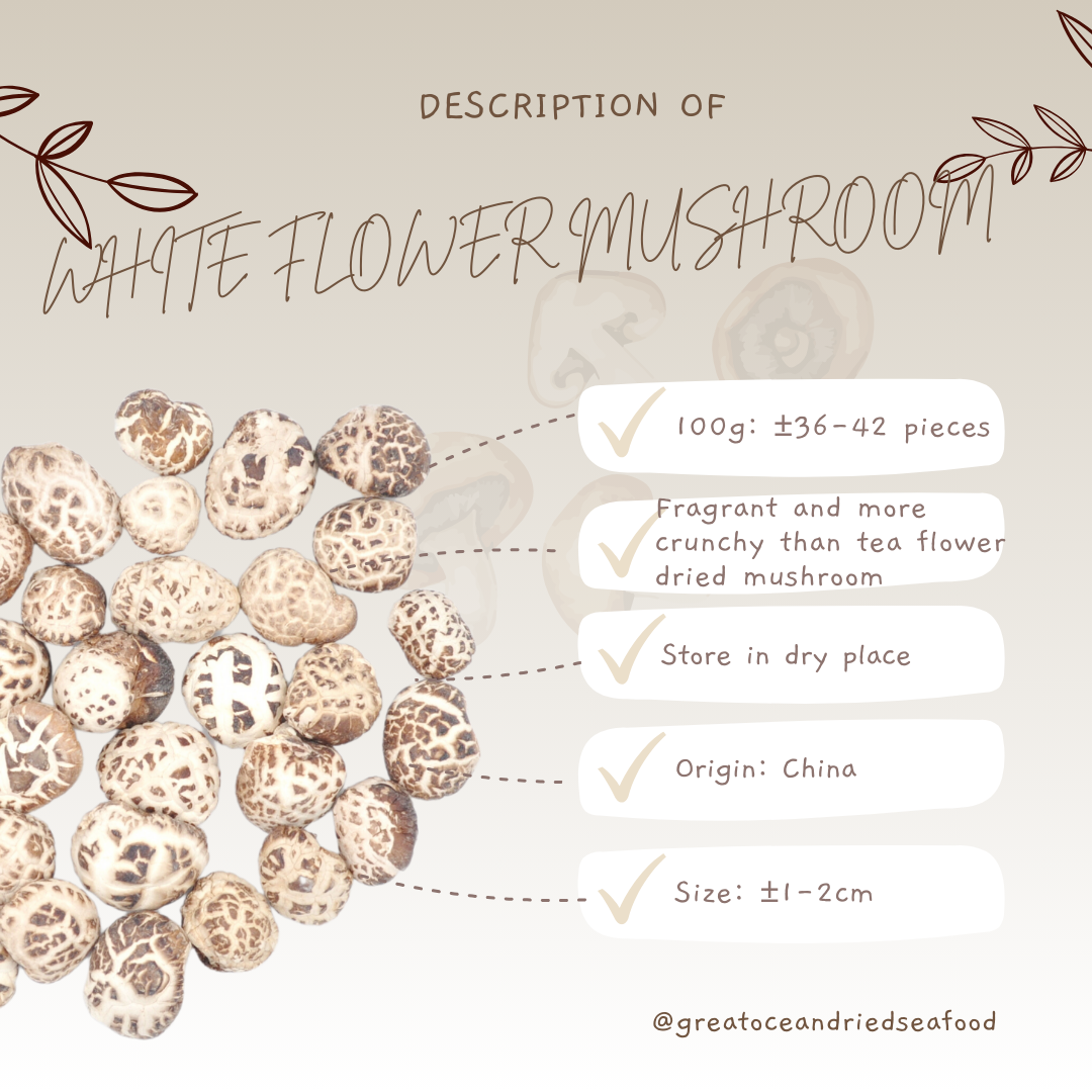 [100g] Great Ocean White Flower Dried Mushroom | 精选 天白花菇