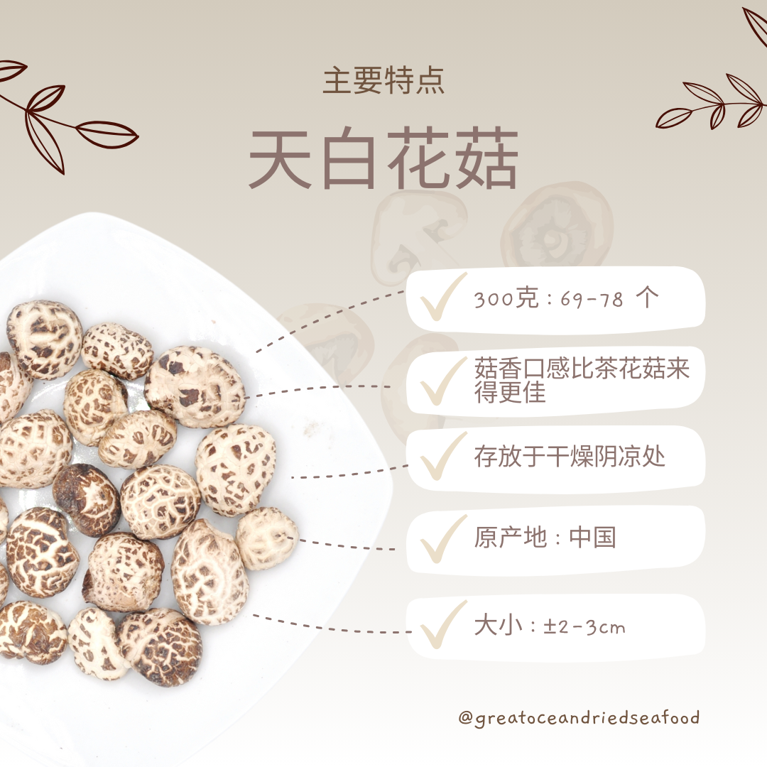 [300g] Great Ocean White Flower Dried Mushroom | 精选 天白花菇