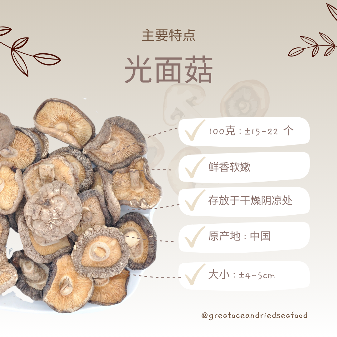 [100g] Great Ocean Dried Mushroom (GM) | 光面菇