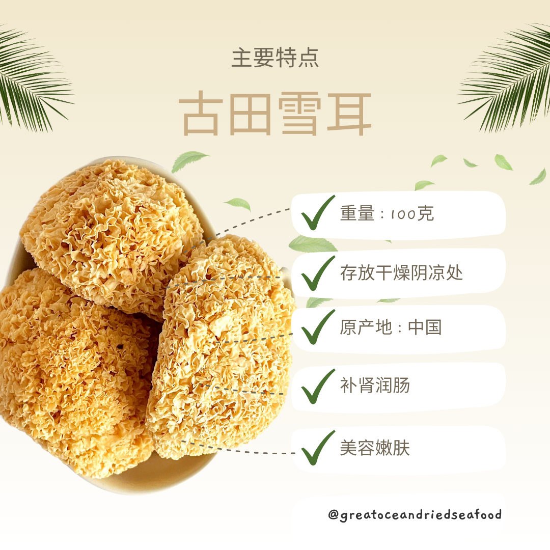 [100g] Great Mountain Herbs White Fungus (Gutien) | 特选 古田雪耳