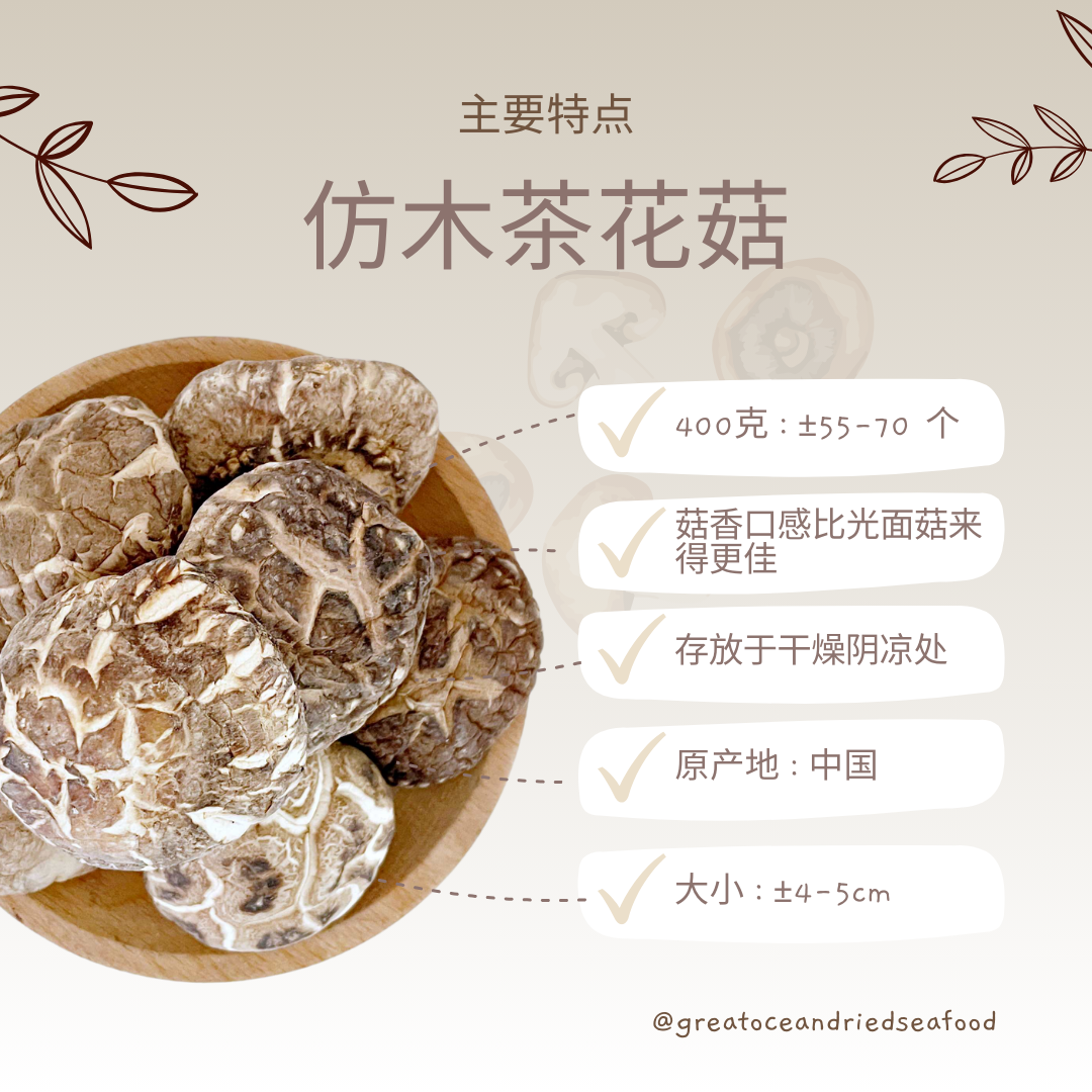 [400g] Great Ocean Tea Flower Dried Mushroom | 仿木茶花菇AA级