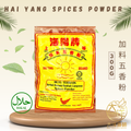 [300g] Hai Hyang Brand Spices Powder | 海阳牌 加料五香粉