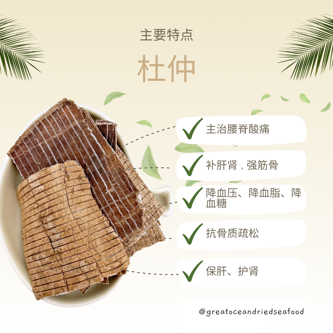 [100g] Great Mountain Herbs Eucommia | 杜仲