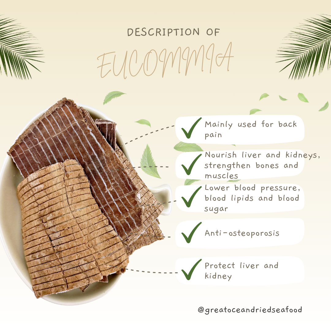 [100g] Great Mountain Herbs Eucommia | 杜仲