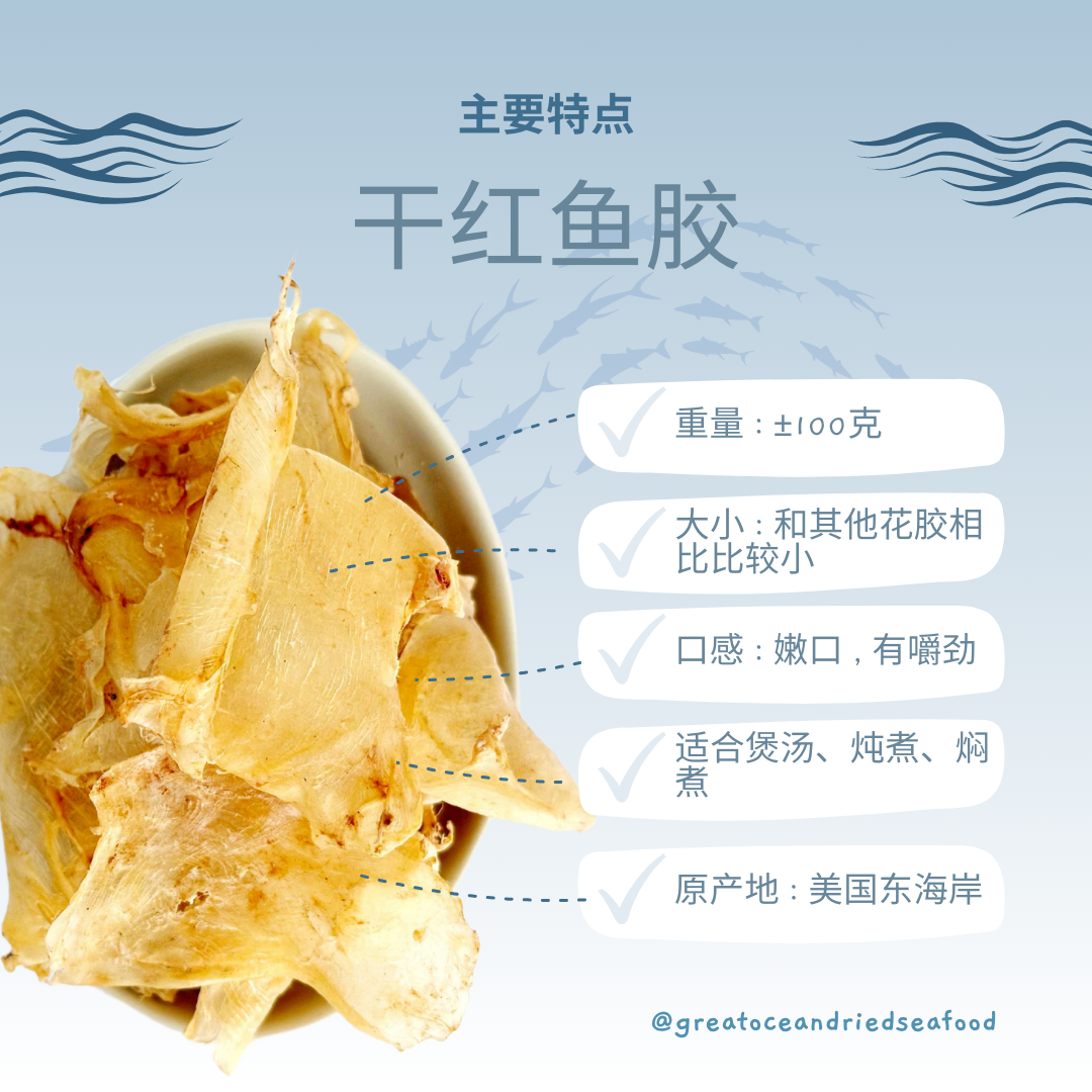 [100g] Great Ocean Dried Hong Yu Fish Maw | 上等 红鱼胶 鱼鳔