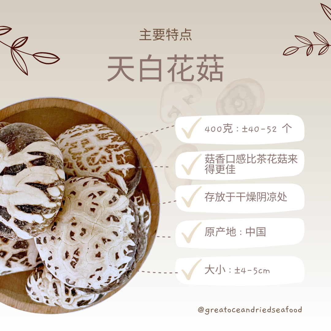 [400g] Great Ocean White Flower Dried Mushroom | 精选 天白花菇
