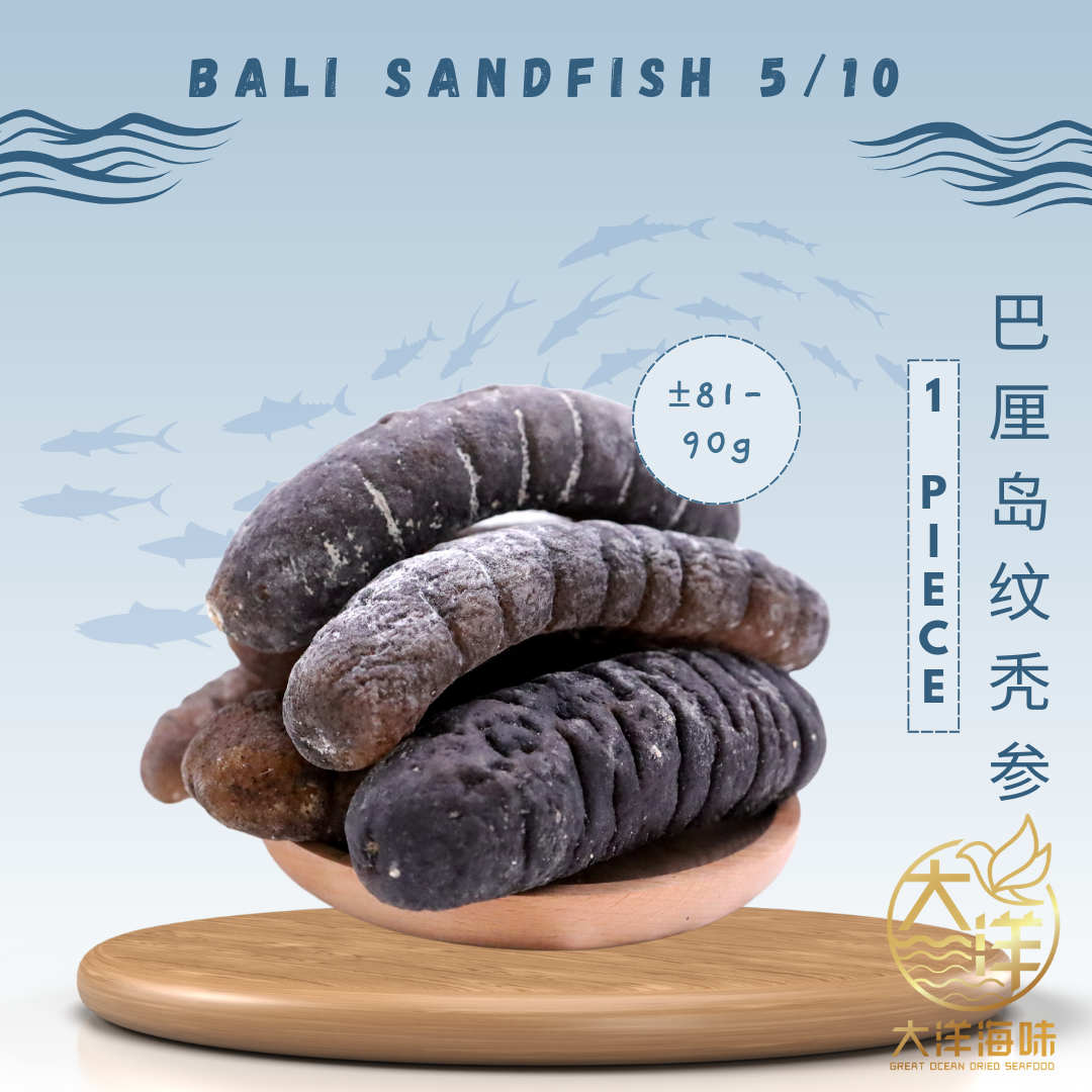 [1 piece] Great Ocean Bali Sandfish Sea Cucumber | 巴厘岛 纹秃参 5/10 头
