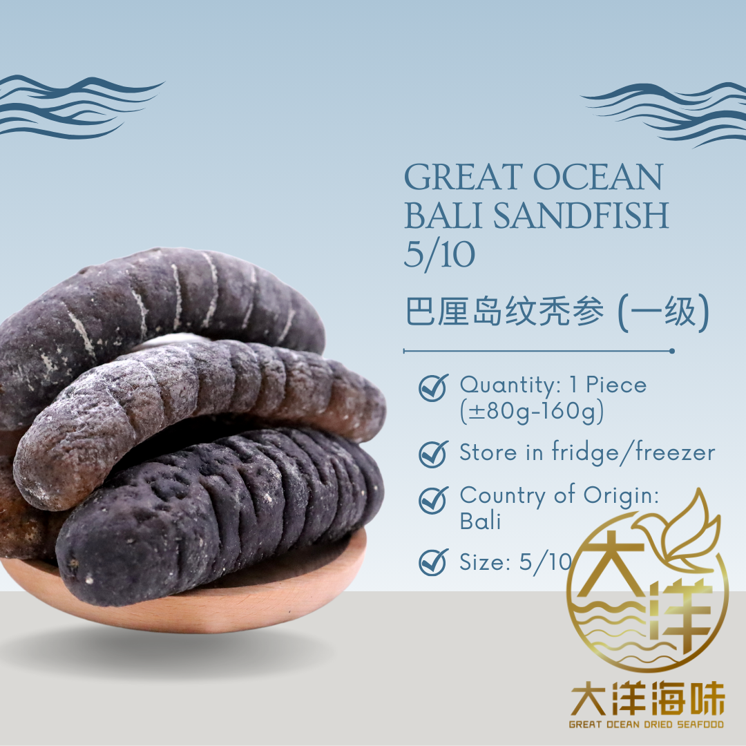 [1 piece] Great Ocean Bali Sandfish Sea Cucumber | 巴厘岛 纹秃参 5/10 头