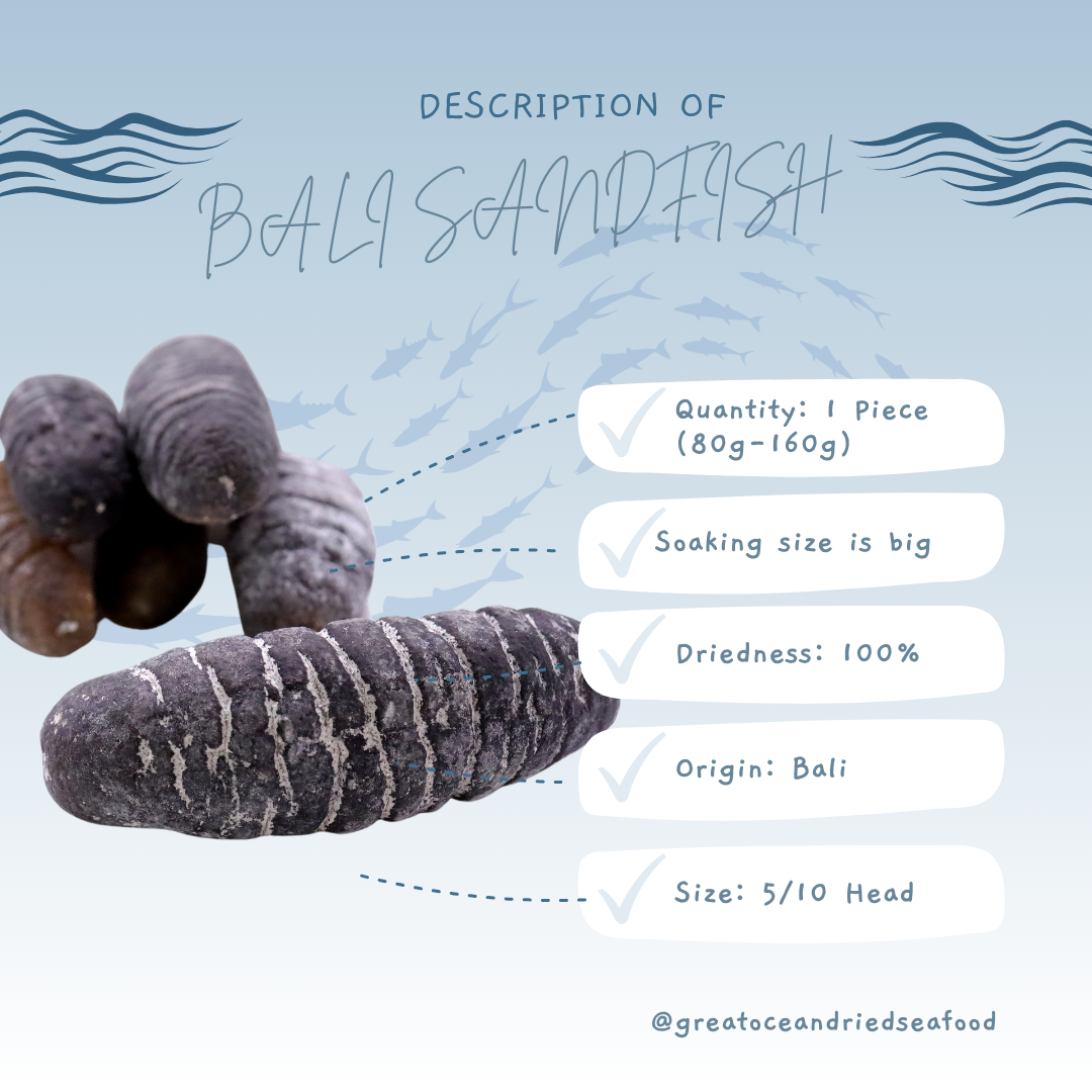 [1 piece] Great Ocean Bali Sandfish Sea Cucumber | 巴厘岛 纹秃参 5/10 头
