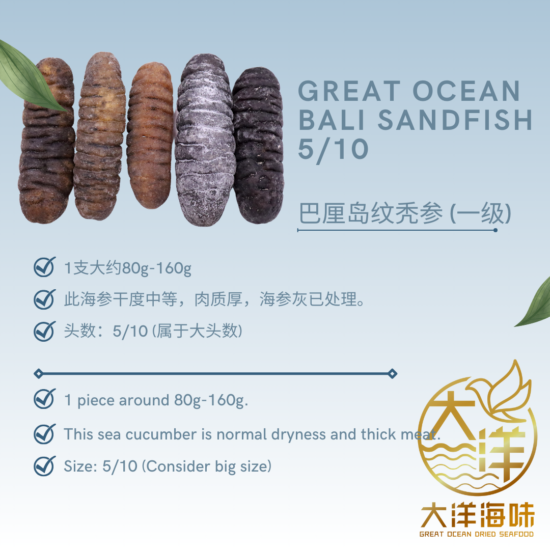 [1 piece] Great Ocean Bali Sandfish Sea Cucumber | 巴厘岛 纹秃参 5/10 头