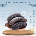 [1 piece] Great Ocean Bali Sandfish Sea Cucumber | 巴厘岛 纹秃参 5/10 头