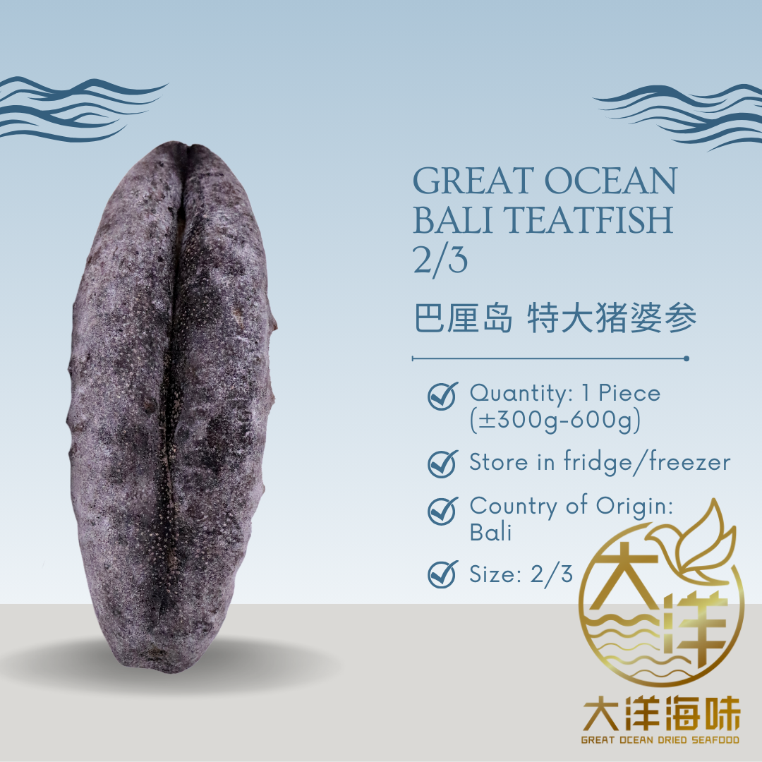 [1 piece] Great Ocean Bali White Teat 2/3 Head | 巴厘岛 猪婆参 2/3 头 (特大)