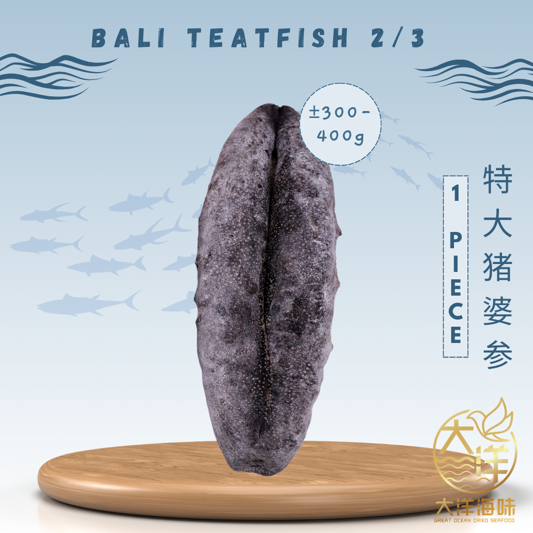[1 piece] Great Ocean Bali White Teat 2/3 Head | 巴厘岛 猪婆参 2/3 头 (特大)