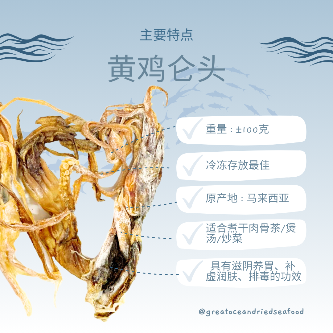 [100g] Great Ocean Dried Octopus | 黄鸡仑头 | 黄鸡仑翅 | 干墨鱼