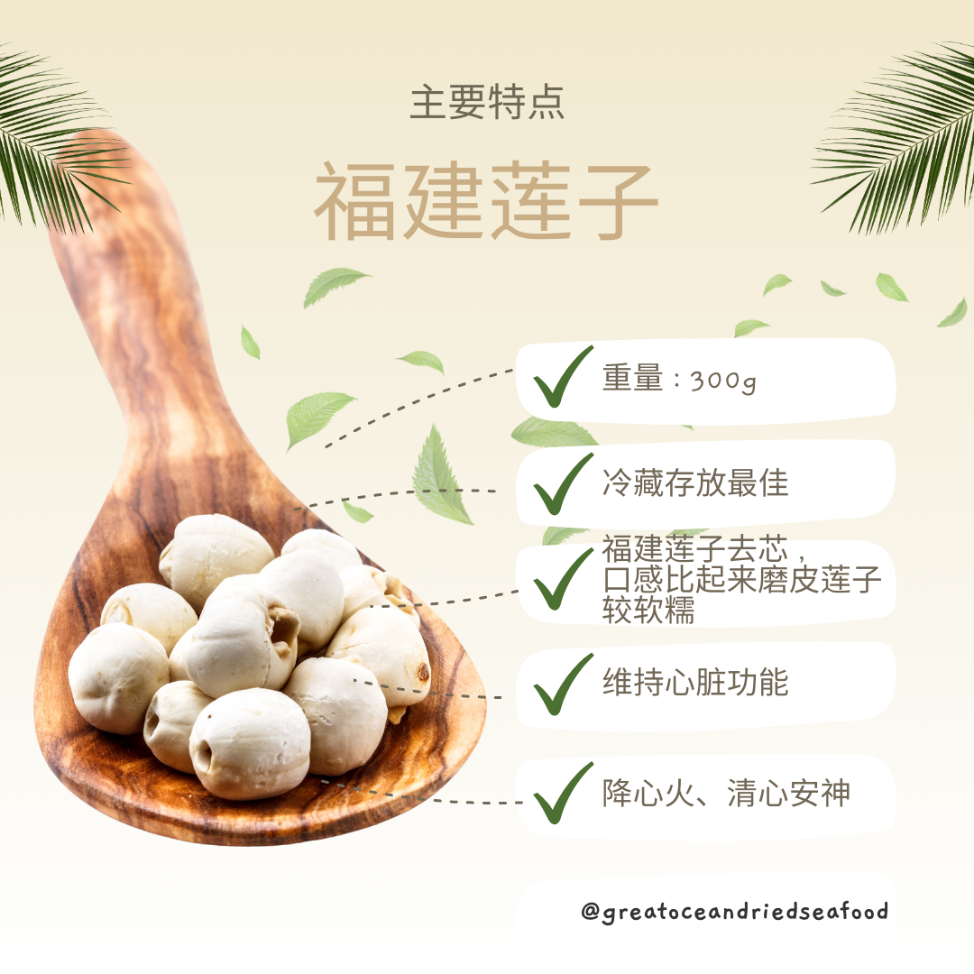 [300g] Great Ocean Lotus Seed | 磨皮莲子 | 福建莲子
