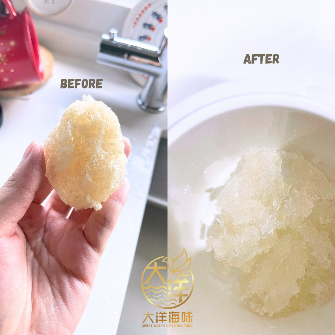 [±17g] Great Ocean House's Bird Nest Gift Box | 特级燕饼礼盒 | 燕窝