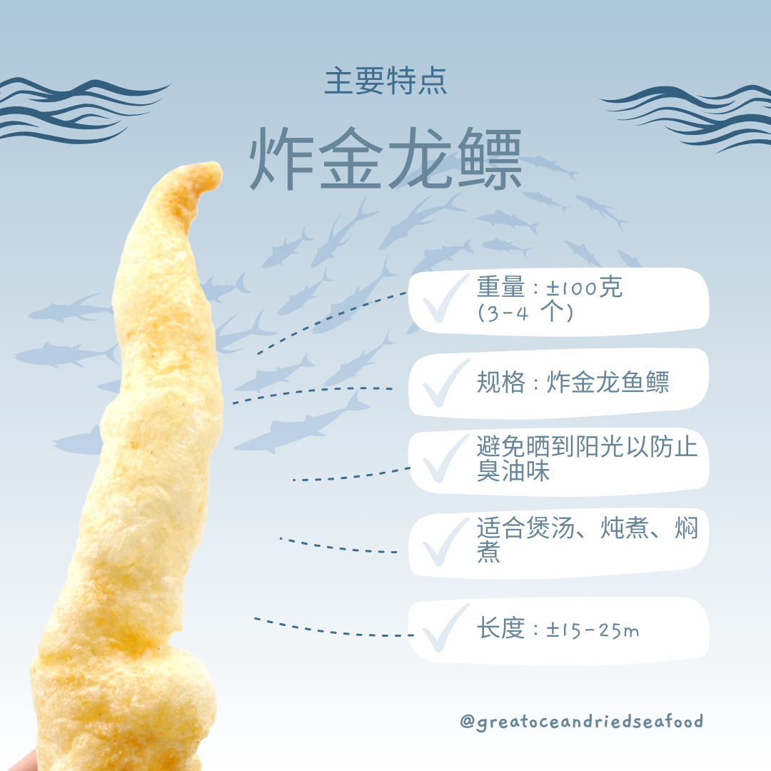 [100g] Mei Hua Fried Jin Long Fish Maw | 梅花牌炸金龙鳔 鱼鳔