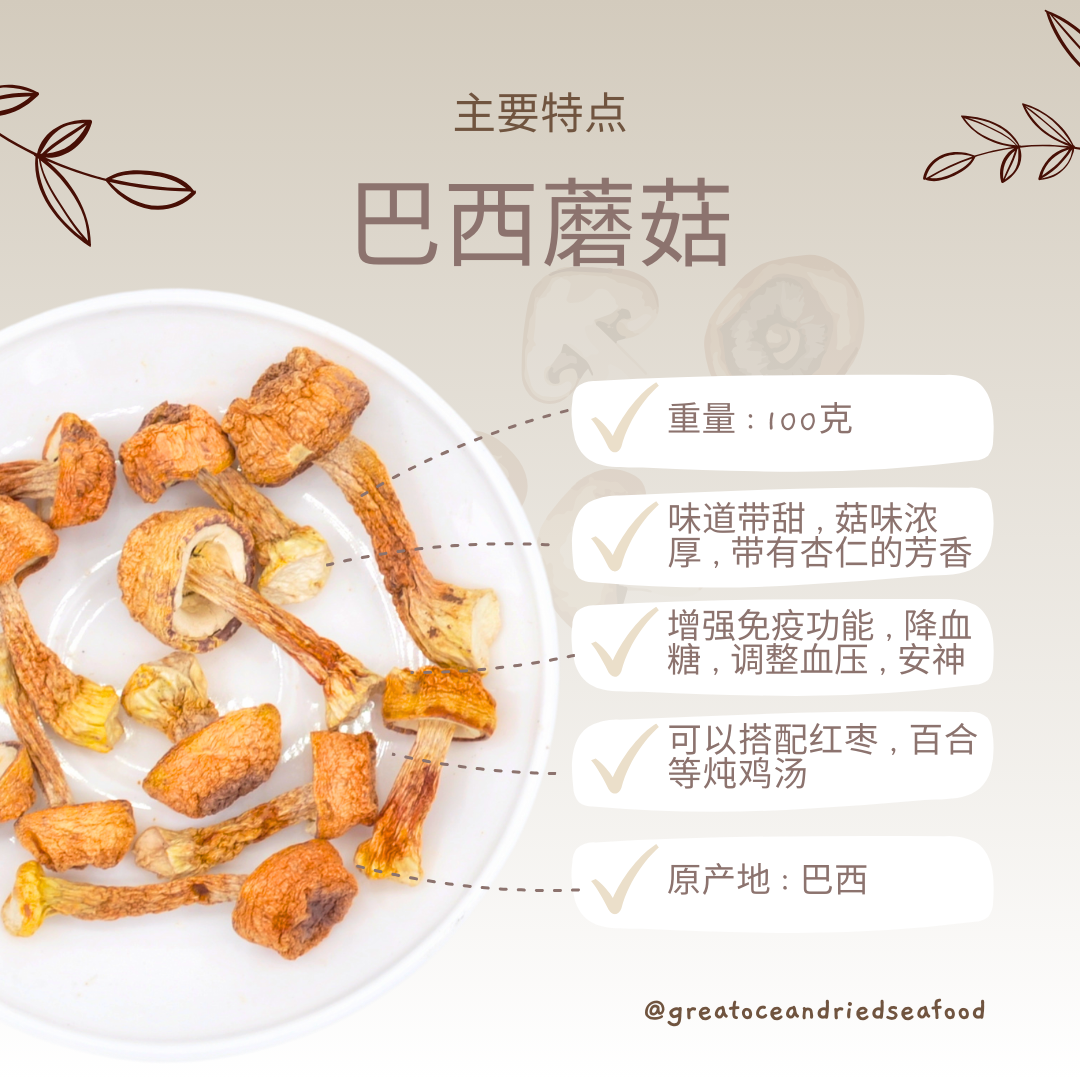 [100g] Great Ocean Agaricus Blazei Mushroom | 精选 巴西蘑菇 ｜ 姬松茸