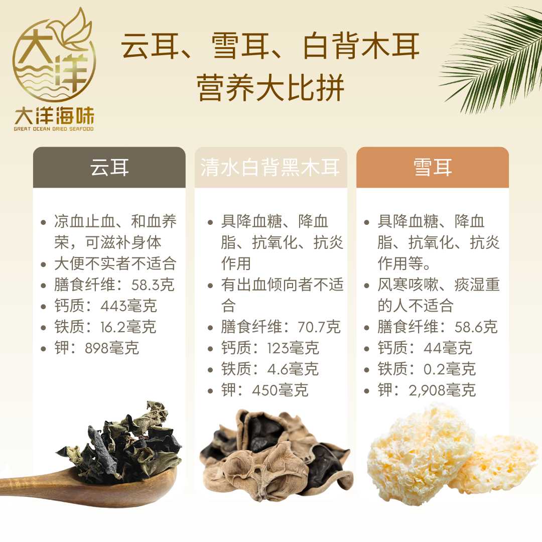 [500g] Great Ocean Black Fungus (Qing Shui) | 清水白背黑木耳 500g