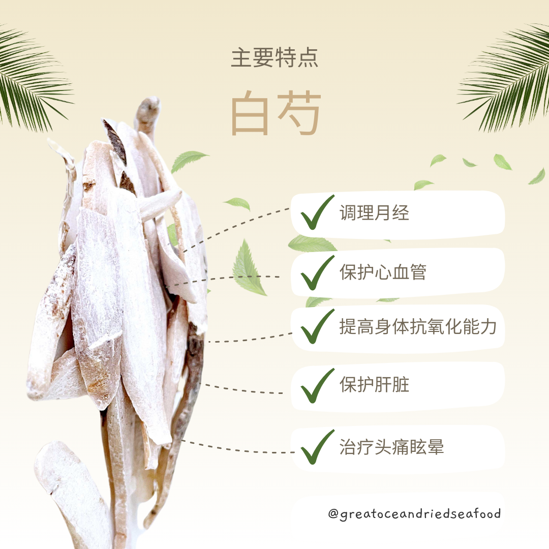 [100g] Great Ocean Radix Paeoniae Alba (Bai Shao) | 野生白芍