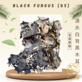 [500g] Great Ocean Black Fungus (Qing Shui) | 清水白背黑木耳 500g