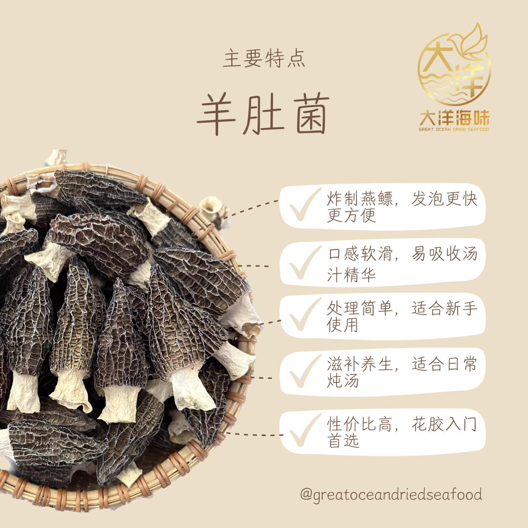 Morel Mushroom | 羊肚菌｜高端菌菇｜炖汤西餐食材｜滋补送礼首选 | 25g