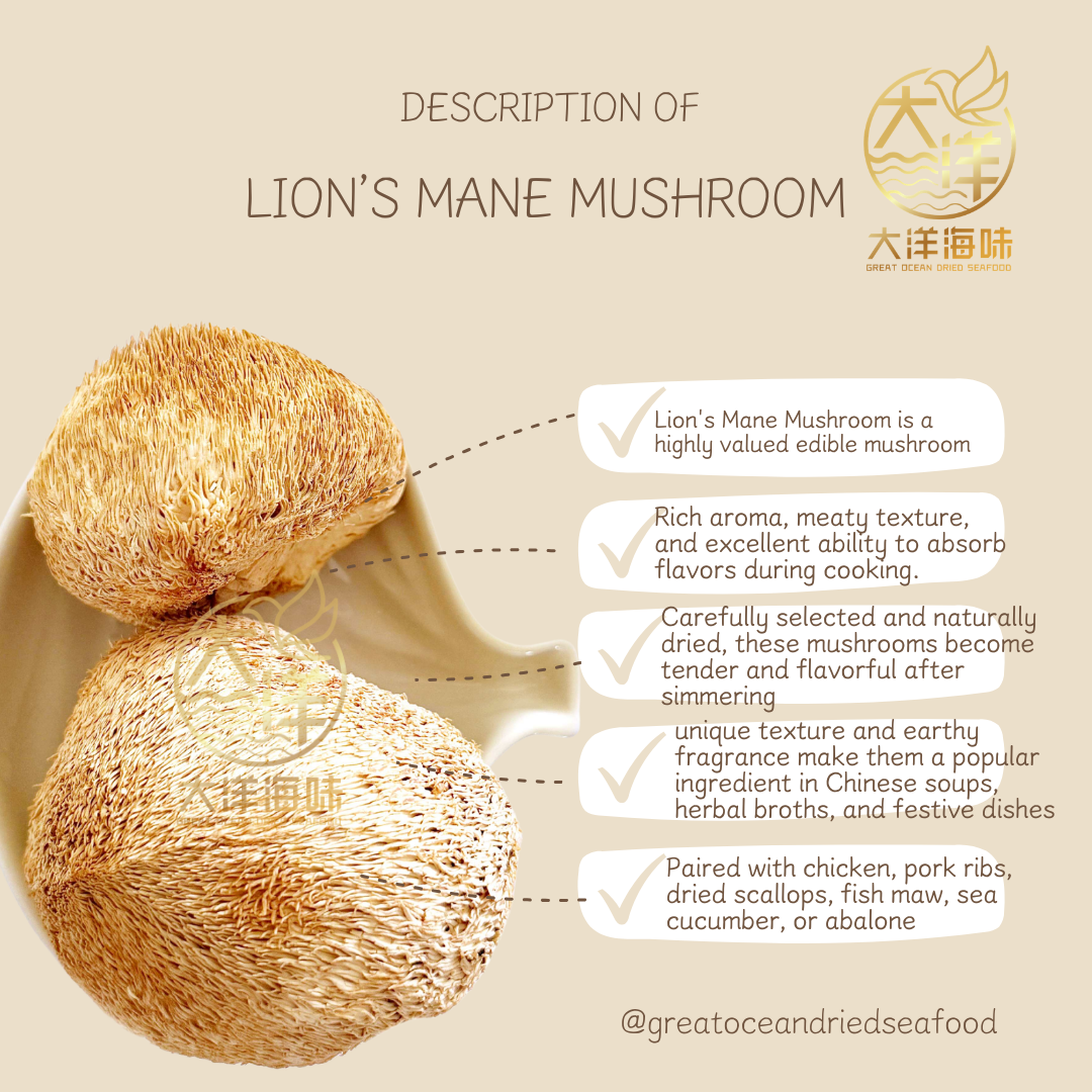 特级猴头菇 100g Lion's Mane Mushroom