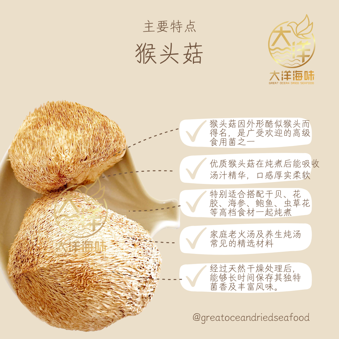 特级猴头菇 100g Lion's Mane Mushroom