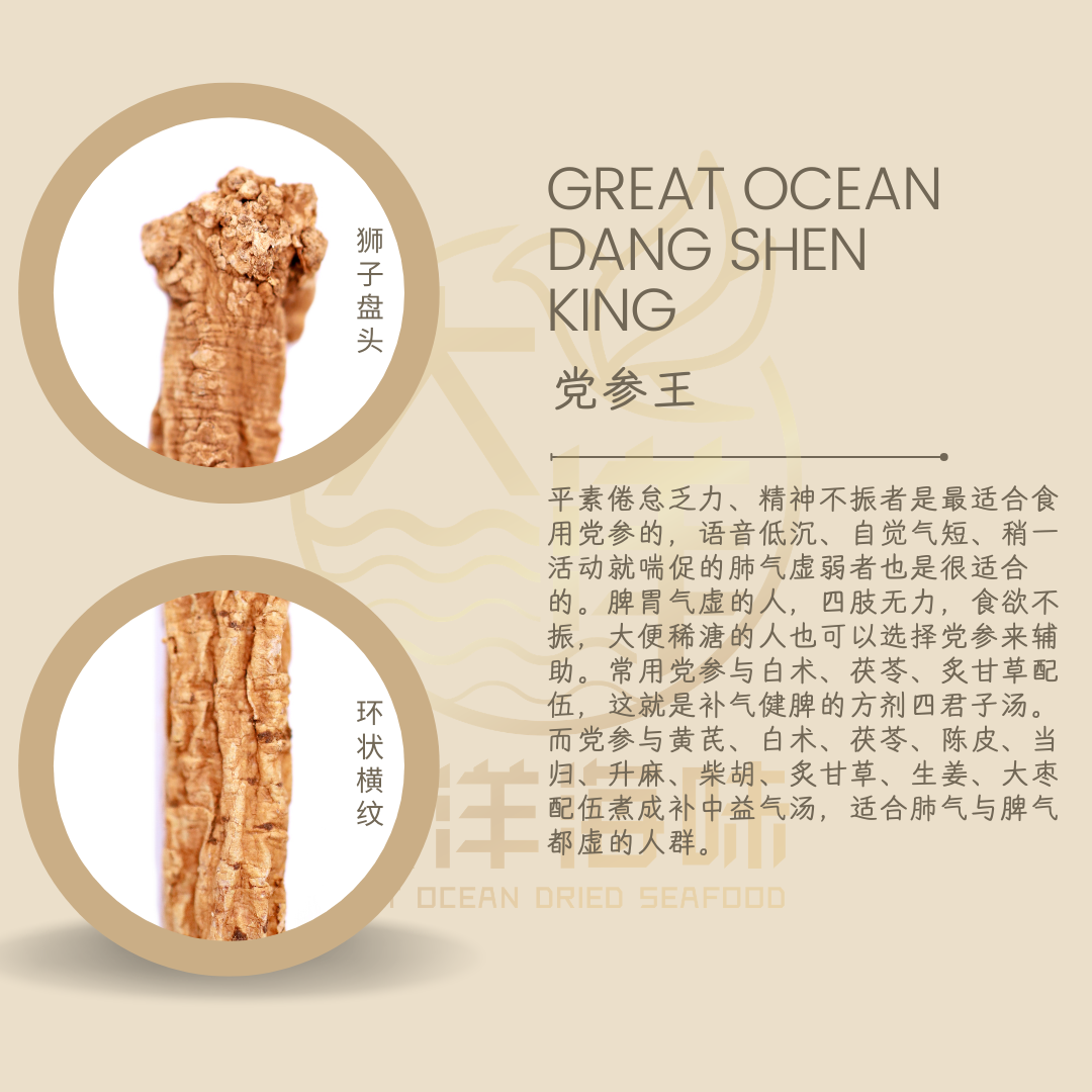甘肃党参王 无硫党参王 160g  Dang Shen King